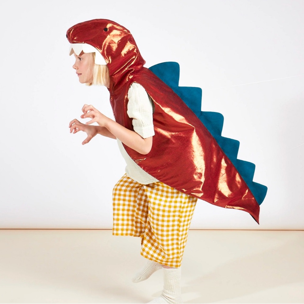 Meri Meri Dino Costume Ages 3-6